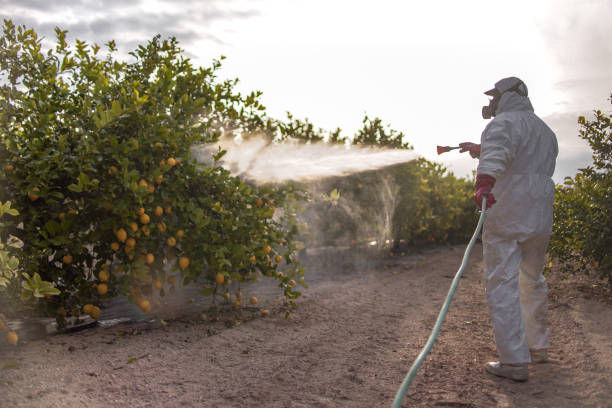 Best Cockroach Control Services  in Laton, CA