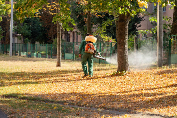 Best Termite Control Services  in Laton, CA