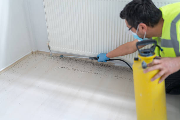Best Wasp Removal Services  in Laton, CA